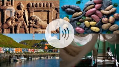 أبرز أحداث بودكاست الطبيعة لعام 2025