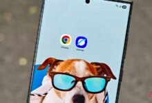 أنا أثق في Samsung Internet فيما يتعلق بكلمات المرور الخاصة بي أكثر من Chrome وإليك السبب