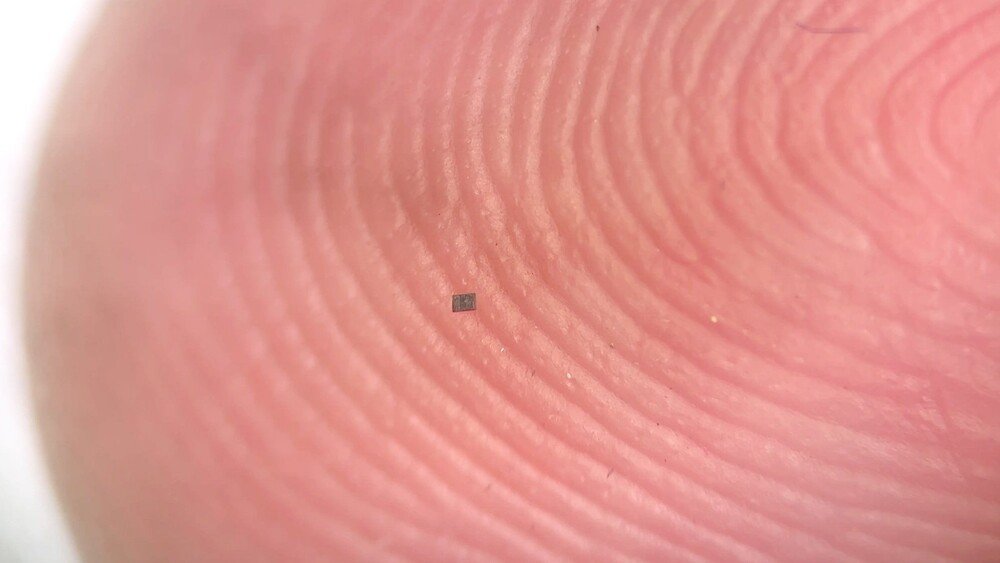 ابتكر المهندسون الحيويون أصغر روبوتات مستقلة في العالم ابتكر المهندسون الحيويون أصغر روبوتات مستقلة في العالم