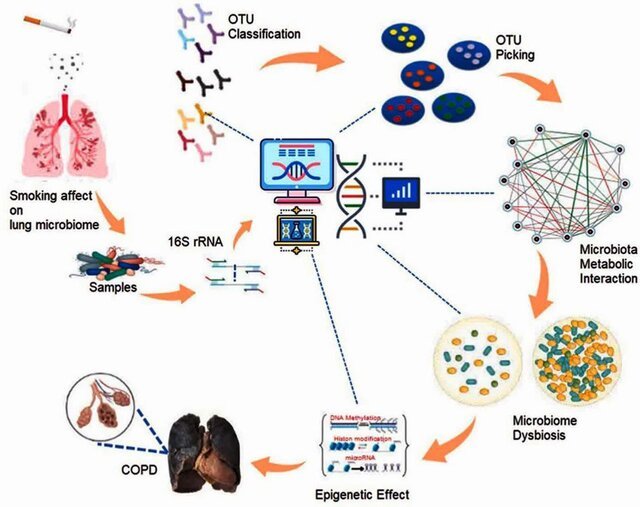 اكتشاف علمي جديد لعلاج أمراض الرئة المزمنة اكتشاف علمي جديد لعلاج أمراض الرئة المزمنة