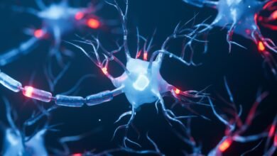 اكتشف العلماء لماذا يمكن أن يؤدي فقدان قطعة صغيرة من عزل الدماغ إلى تعطيل التفكير اكتشف العلماء لماذا يمكن أن يؤدي فقدان قطعة صغيرة من عزل الدماغ إلى تعطيل التفكير