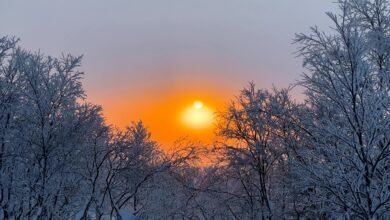 الانقلاب الشتوي أطول ليلة ونموذج عيد الميلاد