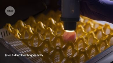 السعي إلى إنتاج لقاح ضد أنفلونزا الطيور