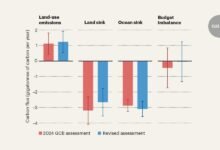 تعمل التقديرات المنقحة لمصادر ومصارف ثاني أكسيد الكربون2 على تحسين حساب الكربون العالمي