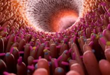 تم العثور على مئات من المواد الكيميائية اليومية التي تدمر بكتيريا الأمعاء المفيدة