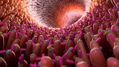 تم العثور على مئات من المواد الكيميائية اليومية التي تدمر بكتيريا الأمعاء المفيدة