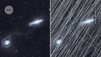 حتى في الفضاء، لا تستطيع التلسكوبات الهروب من مفجري الصور