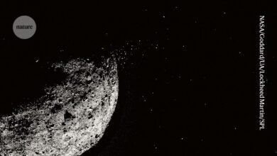 سنة من العلوم الرائعة