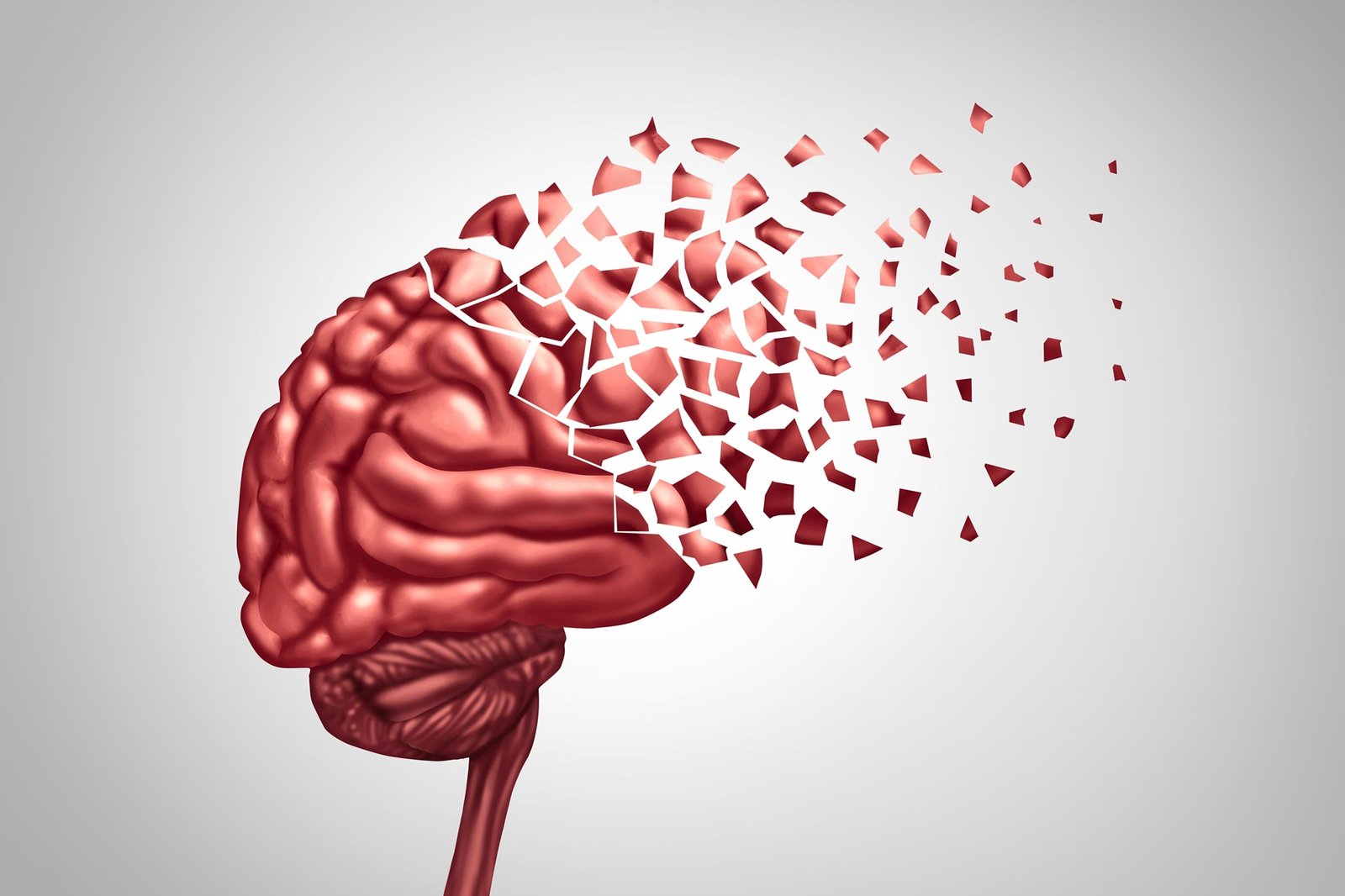 طبقات الدماغ المخفية قد تفسر سبب فشل الذاكرة