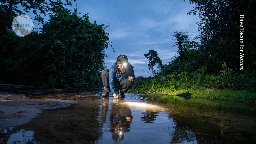 عالمة الزواحف والبرمائيات الوطنية في لاوس في حياتها اليومية عالمة الزواحف والبرمائيات الوطنية في لاوس في حياتها اليومية