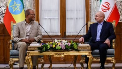 قاليباف يبحث مع نظيره الأثيوبي سبل تعزيز التعاون البرلماني