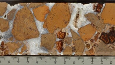 هذه الصخور المنسية تخزن الكربون 40 مرة أكثر مما كنا نعتقد