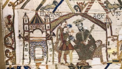 هل تم الكشف أخيرًا عن الغرض الحقيقي من نسيج بايو الأسطوري؟