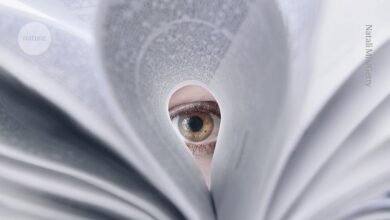 يثير المحققون العلميون مخاوف بشأن العشرات من أوراق الهندسة الحيوية