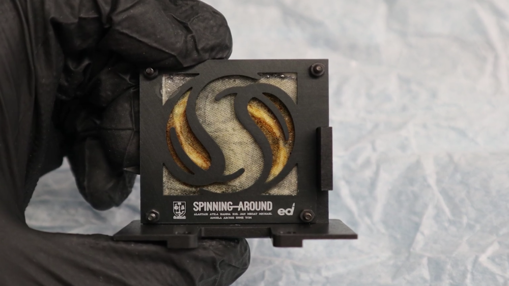 يقوم العلماء بتصنيع ملابس بالبكتيريا لحماية رواد الفضاء والأطباء من الإشعاع يقوم العلماء بتصنيع ملابس بالبكتيريا لحماية رواد الفضاء والأطباء من الإشعاع