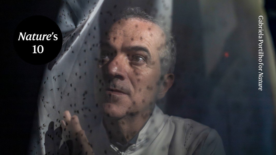 يقوم هذا العالم بتربية مليارات البعوض لمكافحة الأمراض في البرازيل يقوم هذا العالم بتربية مليارات البعوض لمكافحة الأمراض في البرازيل