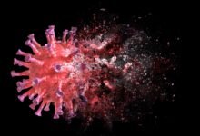 يمكن أن يؤدي هيكل الحمض النووي الريبي الفيروسي هذا إلى عقار عالمي مضاد للفيروسات