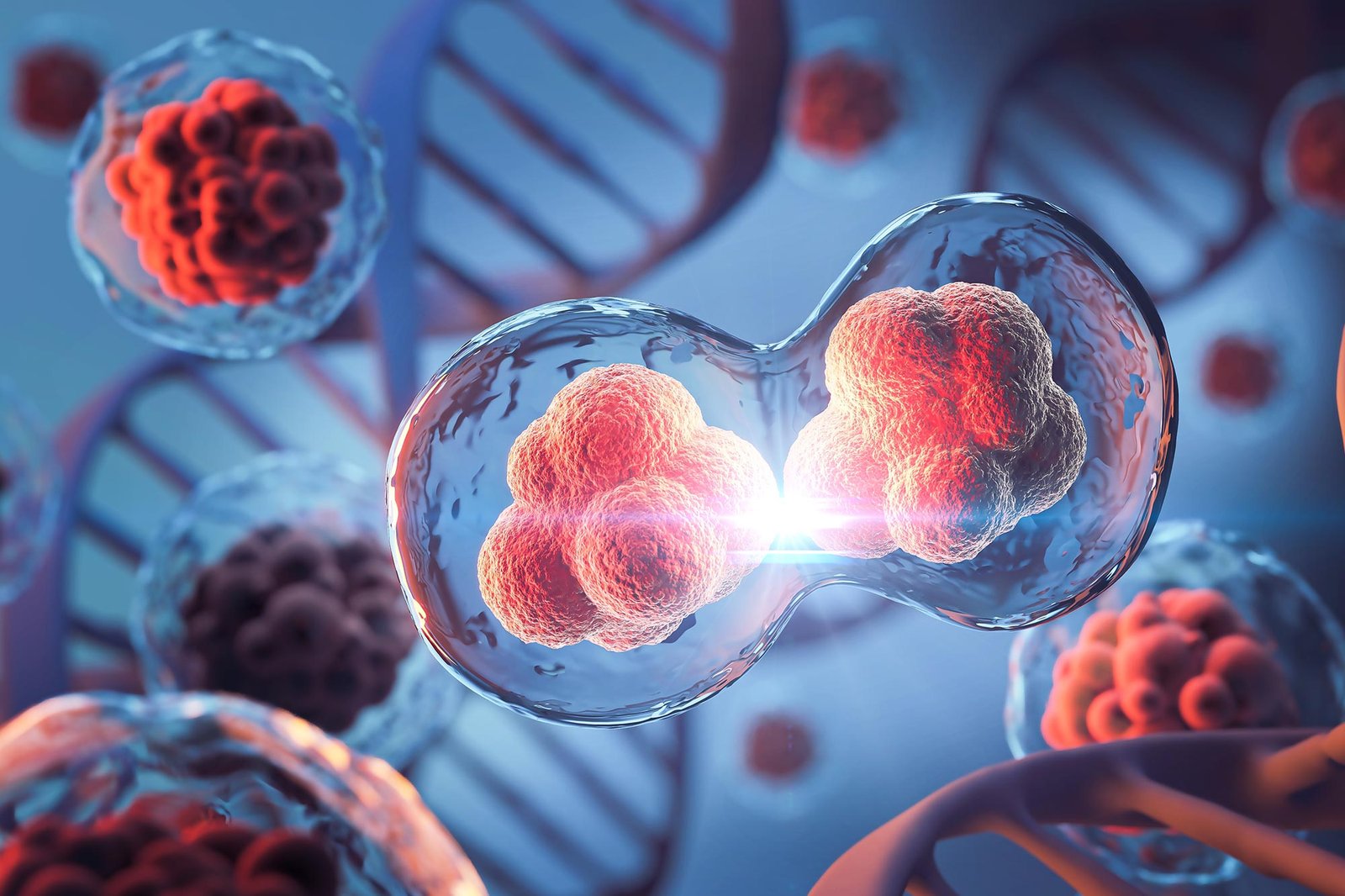 اكتشف العلماء آلية جديدة لانقسام الخلايا