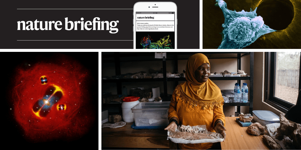 الإحاطة اليومية الحيوانات التي ليس لها أدمغة تنام أيضًا مما يشير إلى سبب نومنا على الإطلاق - صورة مميزة صورة مميزة: الإحاطة اليومية الحيوانات التي ليس لها أدمغة تنام أيضًا مما يشير إلى سبب نومنا على الإطلاق