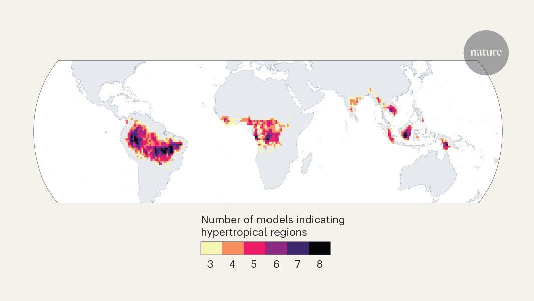 التنبؤ بمصير الغابات الاستوائية في ظل الحرارة الشديدة