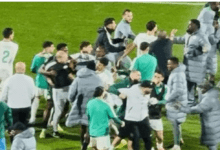 أحداث مؤسفة في ملعب مراكش بعد نهاية مباراة الجزائر ونيجيريا (فيديو)