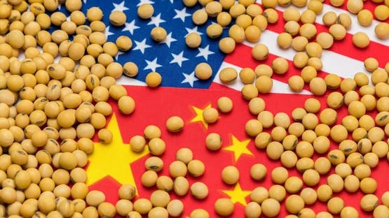 مشتريات الصين من فول الصويا الأميركي تصل إلى الكمية المستهدفة