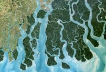 The Ganges River Delta seen from space.