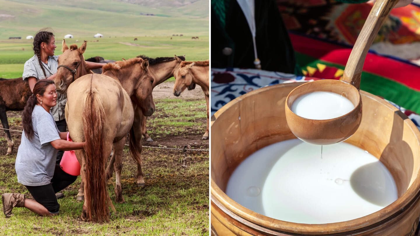 24bd8114c237eb0fd8a6886f335700960a0d1637