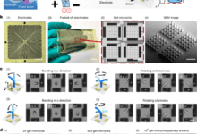 3D-printed low-voltage-driven ciliary hydrogel microactuators
