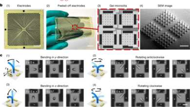 3Dprinted lowvoltagedriven ciliary hydrogel microactuators