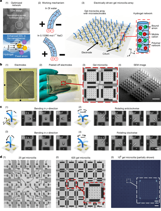 3Dprinted lowvoltagedriven ciliary hydrogel microactuators