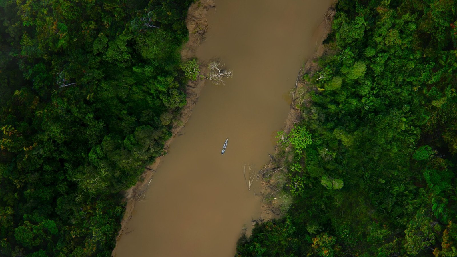 3RBBTN5QFzpCbBnoQ5AqA4 scaled