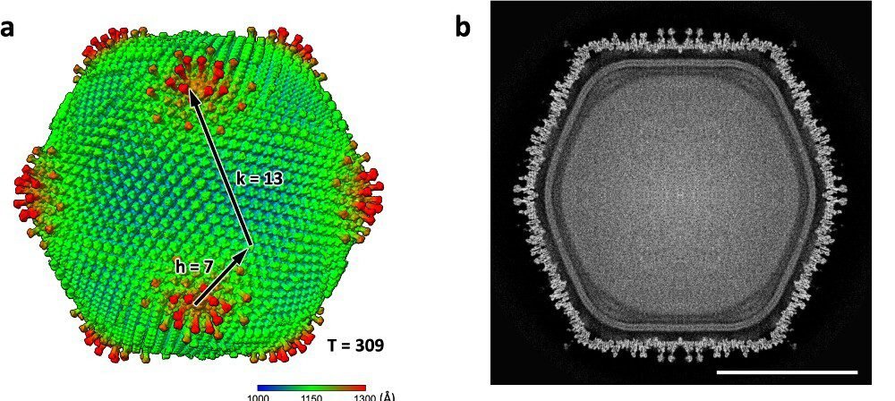 62807f4b9621db7c33171f31de99b897d7b18583