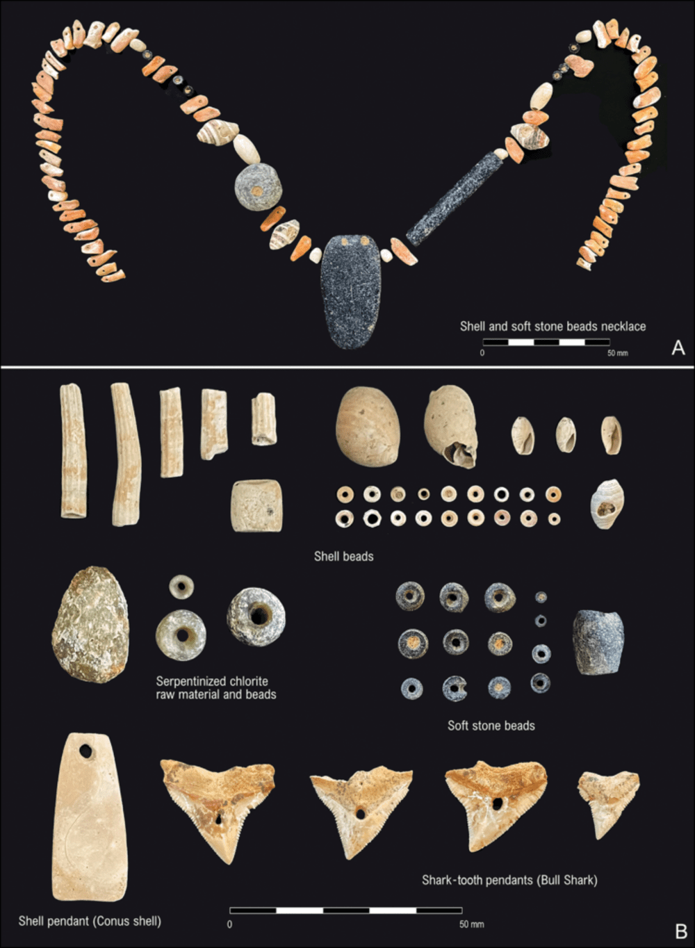 تم العثور على أدلة على صيد أسماك القرش بشكل منتظم خلال العصر الحجري الحديث في عمان 2 69afda16c3121c297b67e94e8c308d9025d60f26