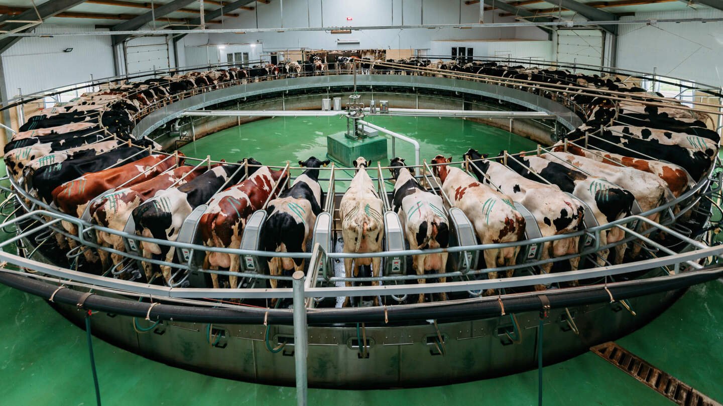 8c71b8a60535556a8add0723b3b67f3d07462d1f