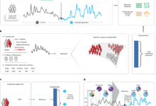 A foundation model for continuous glucose monitoring data