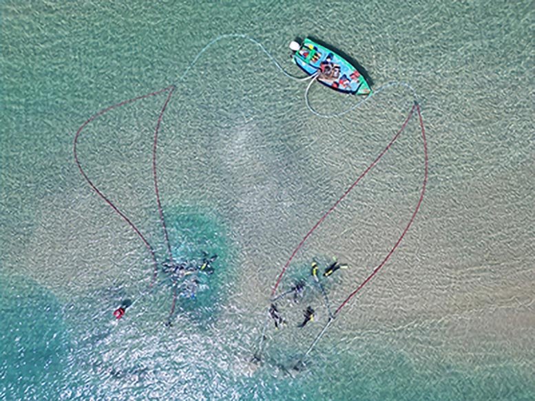 Aerial View of Divers Excavating Iron Age Wreck