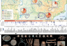 An ancient DNA perspective on the Russian conquest of Yakutia