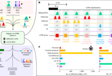 An expanded registry of candidate cis-regulatory elements