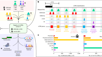 An expanded registry of candidate cisregulatory elements