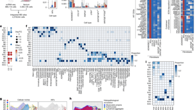 Bidirectional CRISPR screens decode a GLIS3dependent fibrotic cell circuit