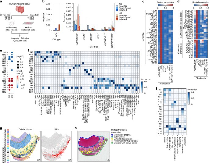 Bidirectional CRISPR screens decode a GLIS3dependent fibrotic cell circuit