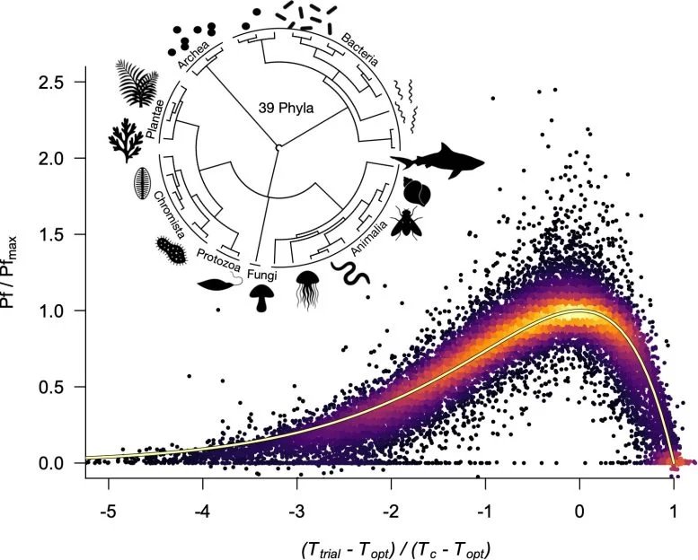 Biological Performance Across the Tree of Life