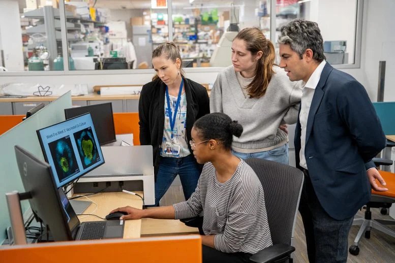 COVID 19 mRNA Vaccine Cancer Researchers