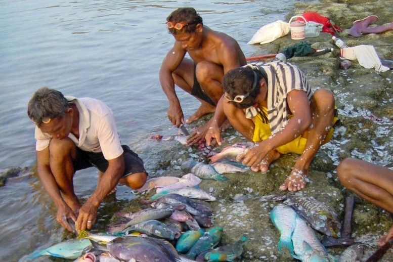 Cleaning Catch After Coral Reef Fishing Trip North Sulawesi Indonesia