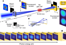 Coherent nonlinear X-ray four-photon interaction with core-shell electrons
