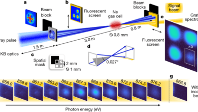 Coherent nonlinear X-ray four-photon interaction with core-shell electrons