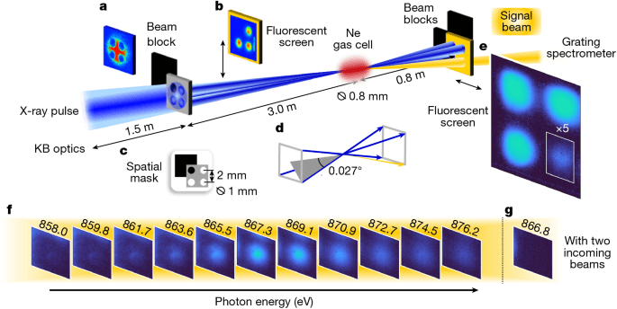 Coherent nonlinear Xray fourphoton interaction with coreshell electrons