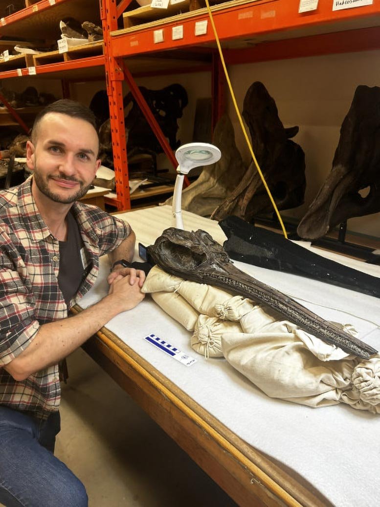 التنين السيف الجديد الذي يبلغ عمره 190 مليون عام يعيد كتابة تطور الإكثيوصورات 5 Dean