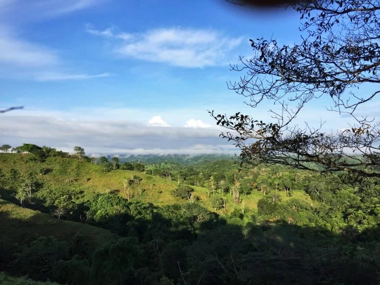 Deforestation and Nitrogen in Central America